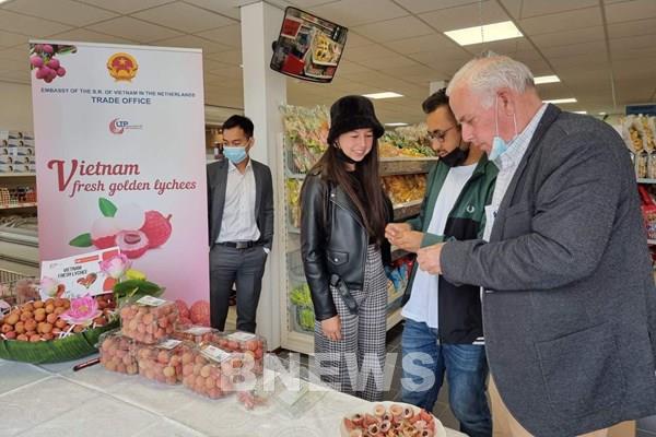 Vải thiều Việt Nam chinh phục thị trường Hà Lan