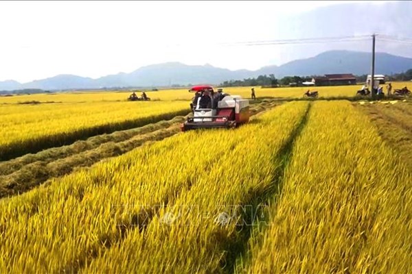 Tanzania đề nghị Việt Nam chia sẻ kinh nghiệm phát triển nông nghiệp