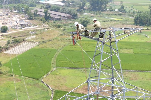 PTC2: Truyền tải điện an toàn trong mọi tình huống