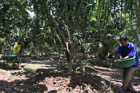 Công ty Phân bón Dầu khí Cà Mau lần đầu lọt top 50 doanh nghiệp niêm yết tốt nhất
