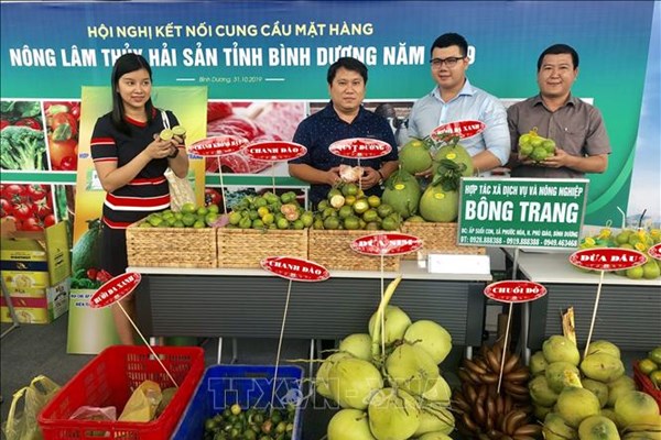 Sản phẩm nông nghiệp đã xuất hiện và tiêu thụ nhiều ở siêu thị