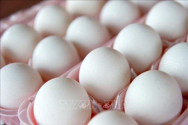 Giá trứng gia cầm ở Hà Nội tiếp tục tăng