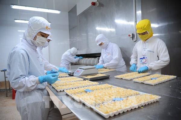 Cà Mau tạo điểm nhấn phát triển kinh tế từ thu hút đầu tư