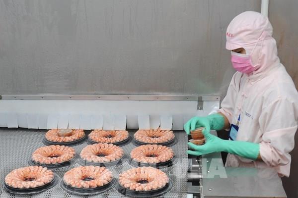 Cà Mau dự báo xuất khẩu tôm đạt trên 1 tỷ USD trong năm 2021