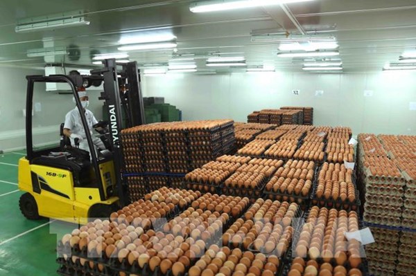 Công bố hạn ngạch thuế quan nhập khẩu muối, trứng gia cầm năm 2022