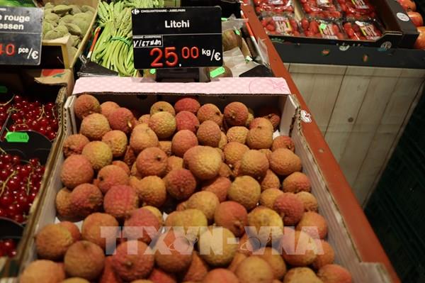 Quả vải Việt ở châu Âu - Bài 1: Chinh phục thị trường "khó tính"
