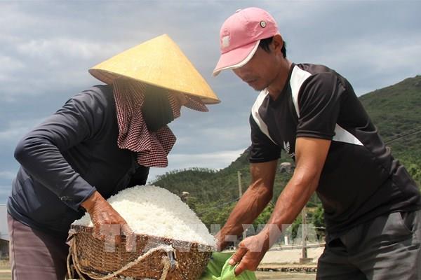Giá muối xuống thấp