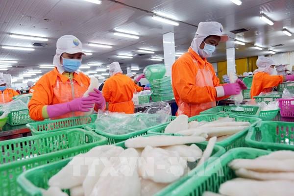 Tốc độ tăng trưởng kinh tế của Cần Thơ đạt 5,61%