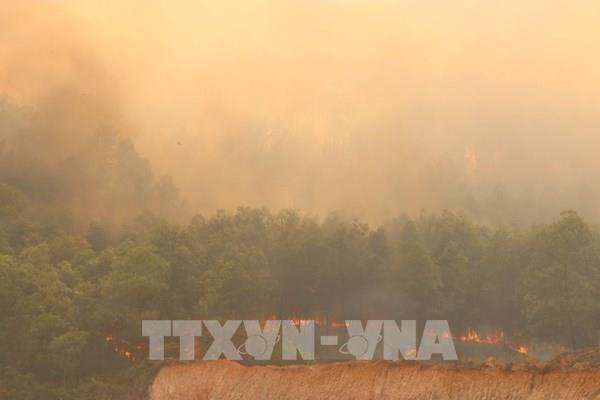 Thừa Thiên – Huế: Khống chế đám cháy rừng gần Trạm Kiểm định đạn dược