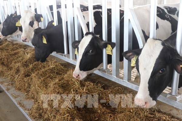 Ứng dụng công nghệ cao, hình thành vùng sản xuất nông nghiệp thông minh
