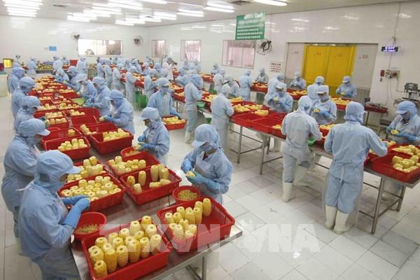 Xuất khẩu kỳ vọng sức bật mới