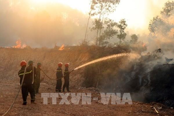 Sẵn sàng các biện pháp phòng cháy, chữa cháy rừng tại Thừa Thiên Huế