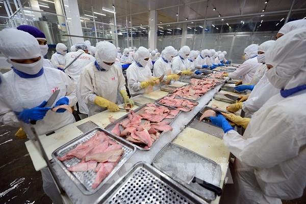 Tổng cục Thống kê điều tra thu thập thông tin lập bảng cân đối liên ngành