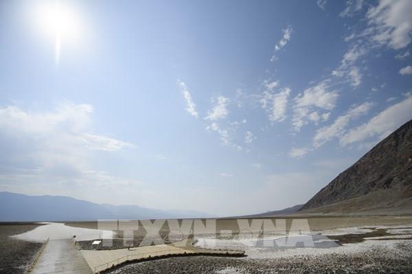 Nắng nóng "bốc hơi" 677 tỷ giờ làm việc mỗi năm trên toàn thế giới