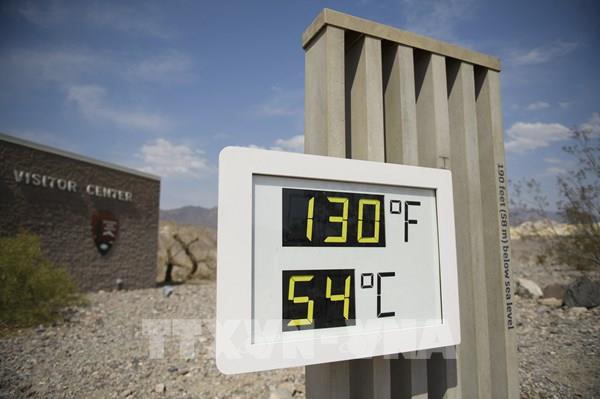 Hàng trăm người tử vong vì nắng nóng khắc nghiệt ở Mỹ và Canada