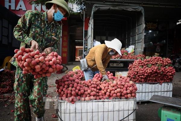 Vải thiều Việt Nam đến với siêu thị và khách hàng Anh