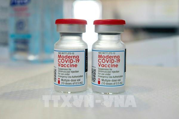 Nhật Bản công bố nghiên cứu về phản ứng phụ sau khi tiêm vaccine Moderna