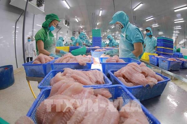 Xuất khẩu thủy sản nửa đầu năm 2021 vượt mốc 4,1 tỷ USD