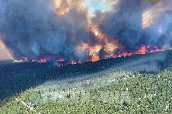 Canada điều quân đội hỗ trợ khống chế cháy rừng