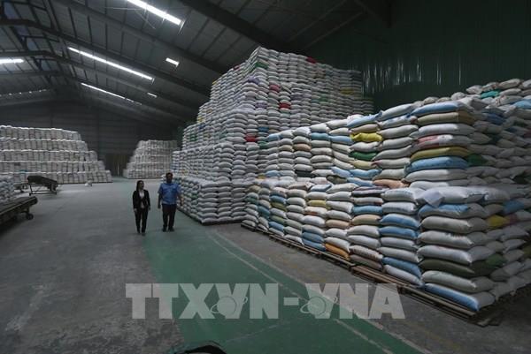 Xuất khẩu gạo kỳ vọng những tín hiệu tốt