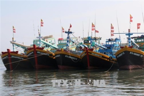 Khắc phục "thẻ vàng" IUU: Siết chặt quản lý tàu cá
