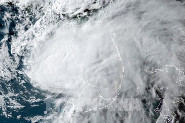 Mỹ: Bão Elsa đổ bộ vào Florida