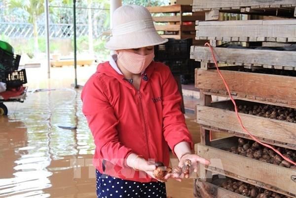 Lâm Đồng sơ tán, di dời dân ra khỏi khu vực ngập sâu, nguy hiểm