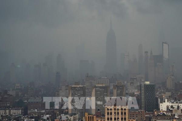 Thành phố New York ngập lụt trên diện rộng do ảnh hưởng của bão Elsa