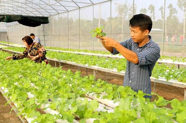 Ưu đãi, hỗ trợ doanh nghiệp đầu tư vào nông nghiệp, nông thôn