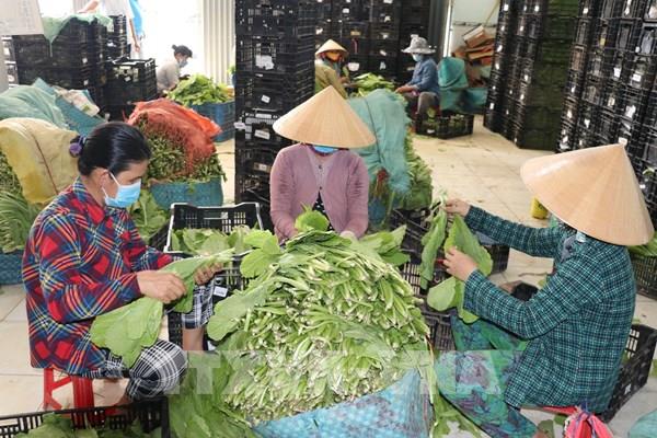 Trên 80,2 tỷ đồng vốn vay ưu đãi hỗ trợ phụ nữ nghèo ở Tiền Giang