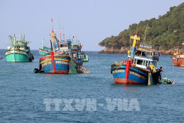 Kiên Giang mở đợt cao điểm kiểm tra hoạt động khai thác thủy sản