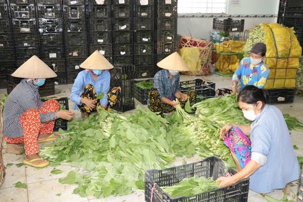 Tiêu thụ nông sản cho nông dân, hạn chế ảnh hưởng của dịch COVID-19
