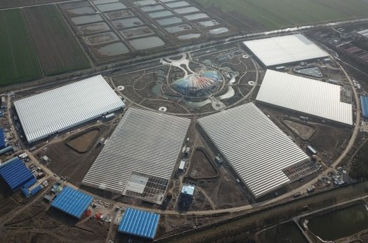 Canh tác nhà kính công nghệ cao "lên ngôi"