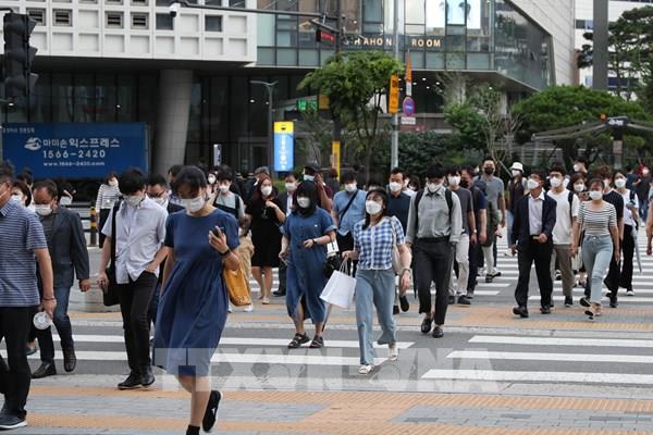 Thị trường việc làm Hàn Quốc tăng trưởng tháng thứ tư liên tiếp