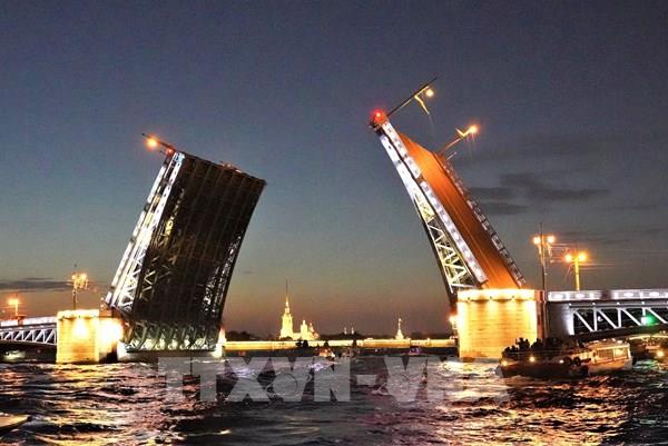 Ngắm cầu mở về đêm ở St. Petersburg