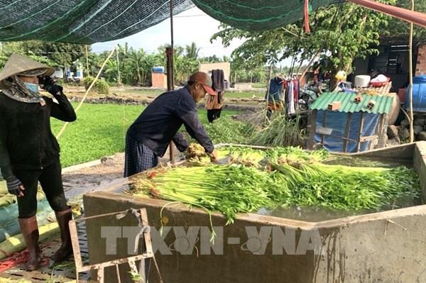 Đề xuất giải pháp hỗ trợ sản xuất, tiêu thụ nông sản trong điều kiện dịch