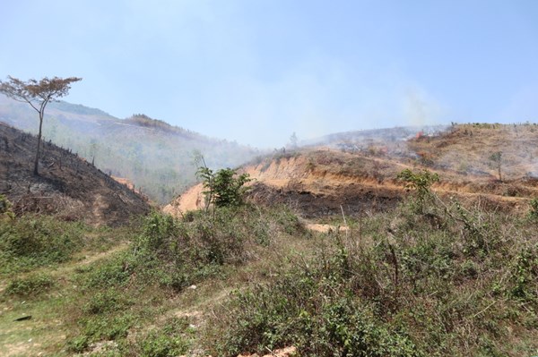 Kiểm kê diện tích đất đai phục vụ quy hoạch sử dụng đất quốc gia