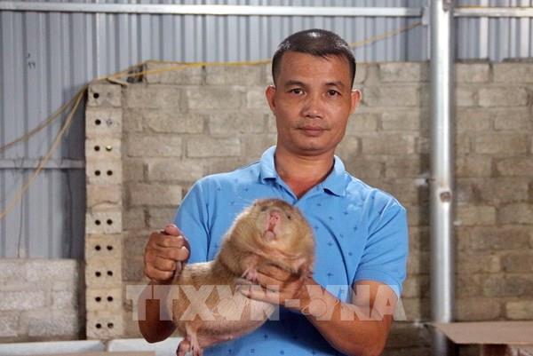 Trở thành tỷ phú nhờ nuôi con “đặc sản” núi rừng