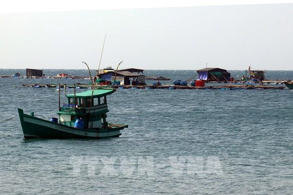 Nền tảng nào cho phát triển nghề nuôi biển?