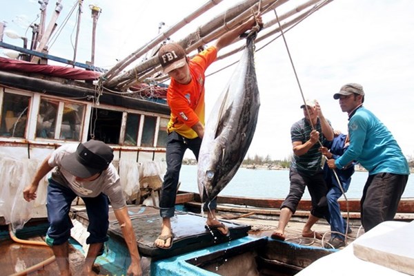 Bạc Liêu với các giải pháp khai thác và đánh bắt thủy sản hiệu quả, an toàn