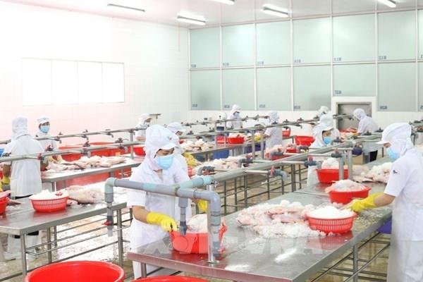 Hoàn thiện Nghị quyết miễn, giảm thuế cho doanh nghiệp, người dân chịu tác động của dịch COVID-19