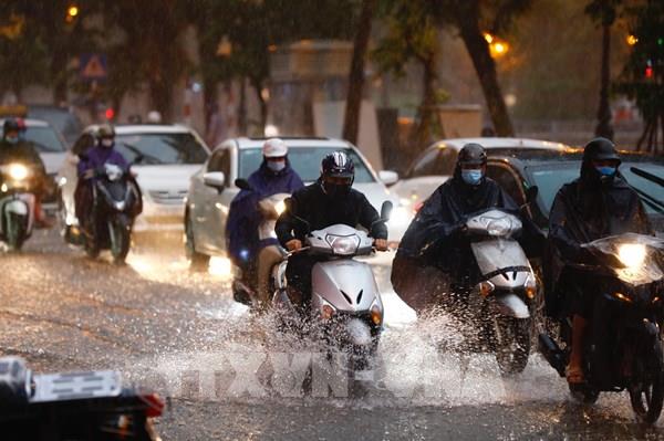 Dự báo thời tiết ngày mai 23/7: Miền Bắc có mưa to