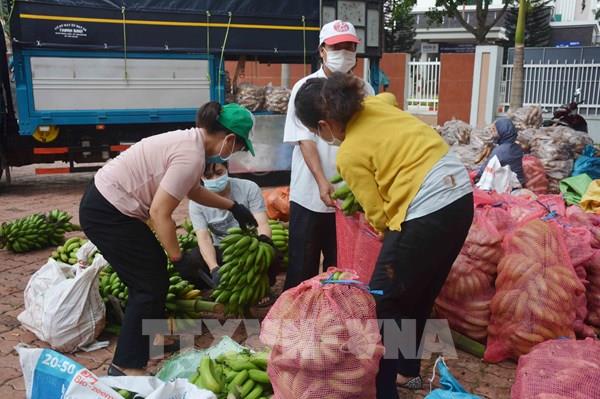Chuỗi cung ứng nông sản ở các tỉnh phía Nam cơ bản được khơi thông