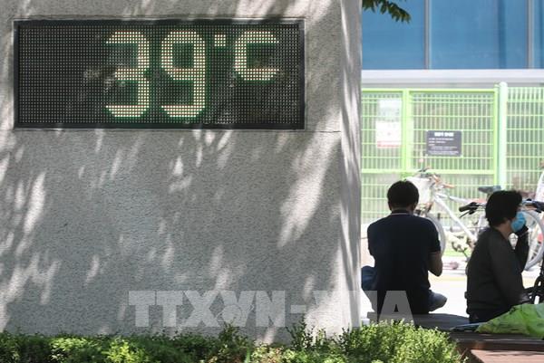 Hàn Quốc: Doanh số đồ gia dụng tăng do đợt nắng nóng nghiêm trọng