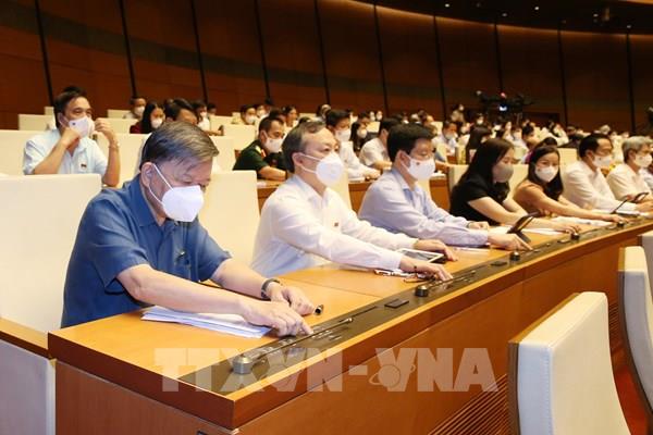 Kỳ họp thứ nhất, Quốc hội khóa XV: Xây dựng nông thôn mới nâng cao, nông thôn mới kiểu mẫu