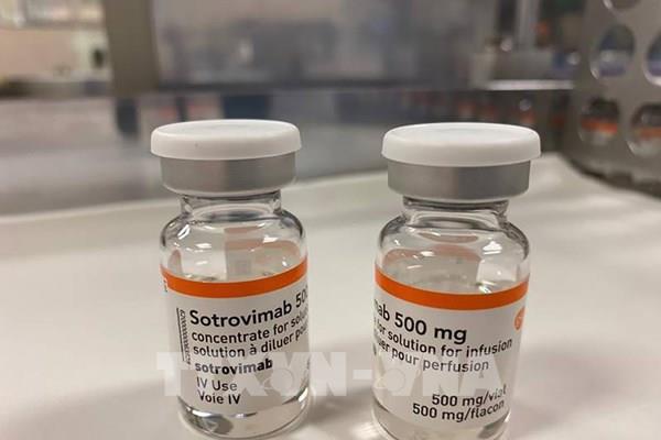 GlaxoSmithKline cung cấp thuốc Sotrovimab điều trị COVID-19 cho EU