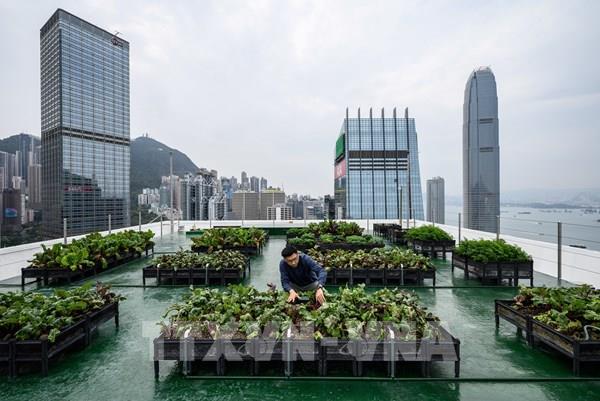 Tổng hợp sự kiện quốc tế nổi bật tuần từ ngày 26/7 - 1/8