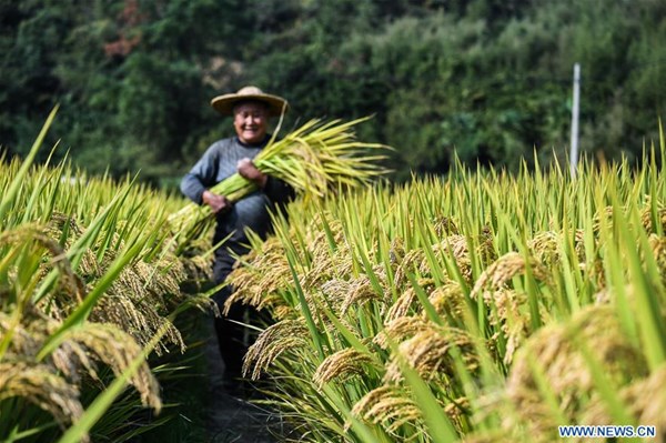 Trung Quốc hy vọng vụ mùa bội thu trong năm 2021