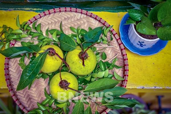 Nồng nàn hương thị vào phố