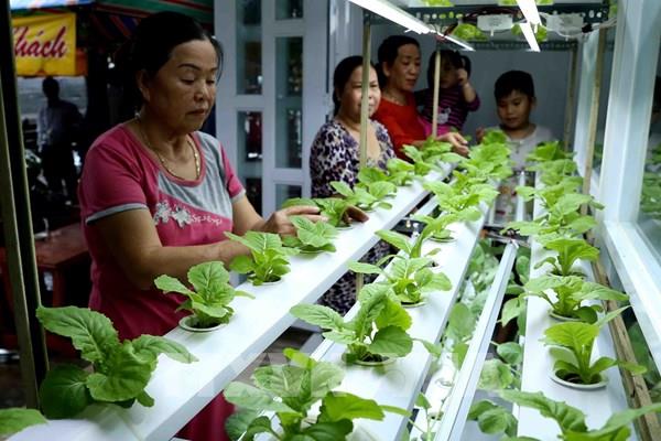 Ứng dụng hiệu quả công nghệ cao tại các hợp tác xã Hà Nội